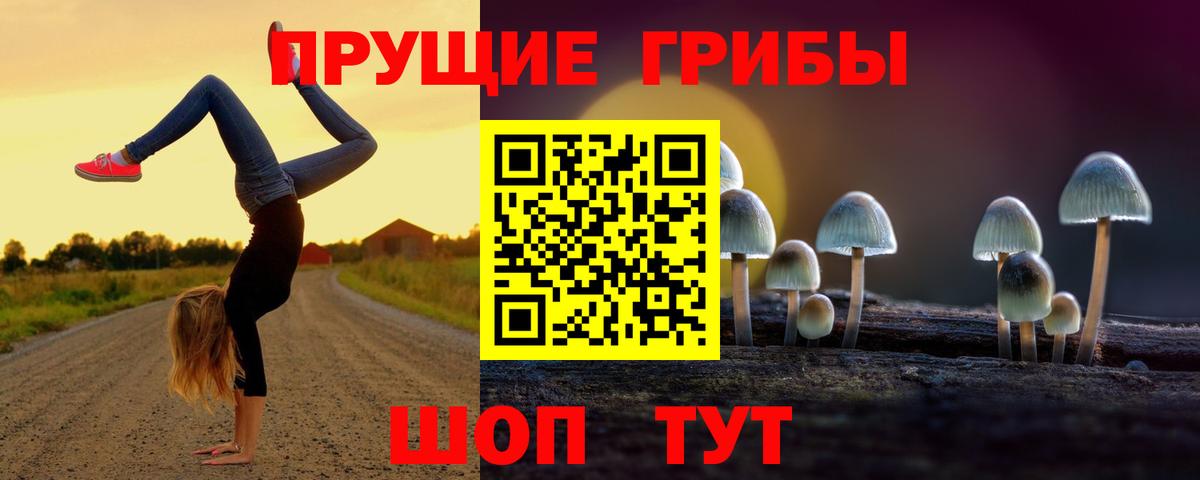Галлюциногенные грибы Magic Shrooms  Вход с VPN  Пенза  Псилоцибиновые грибы прущие грибы 